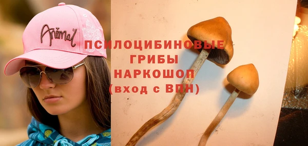 прущий лед Новодвинск