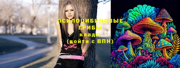 мяу мяу мука Кукмор