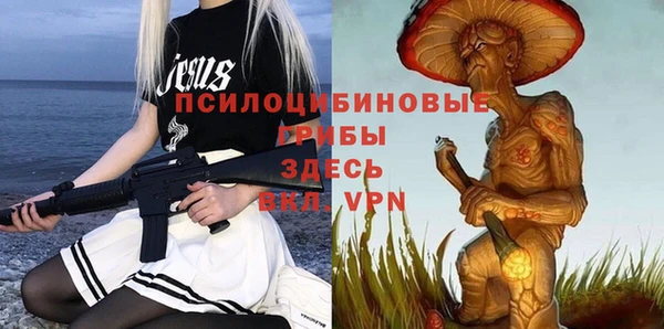 соль ск Новозыбков