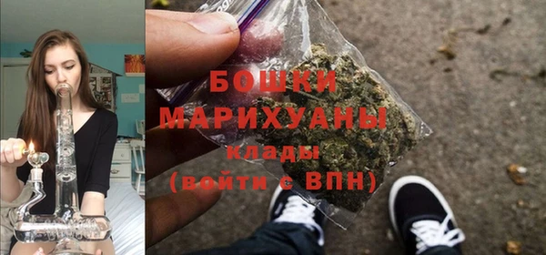 соль ск Новозыбков