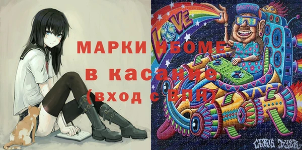 шишки Краснослободск