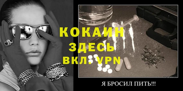 шишки Краснослободск