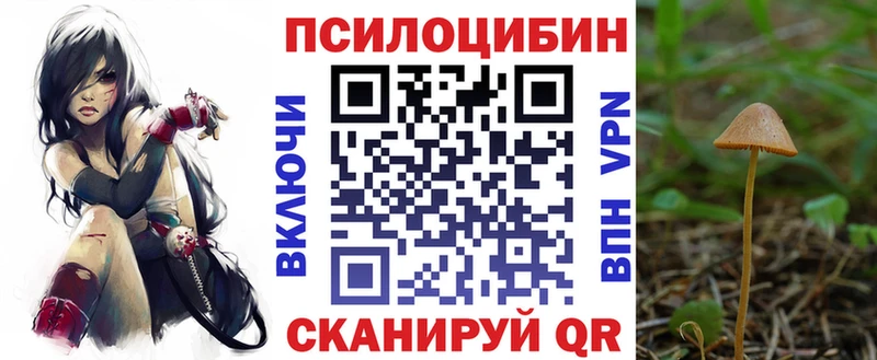 дарк нет наркотические препараты  Мамоново  Галлюциногенные грибы MAGIC MUSHROOMS 