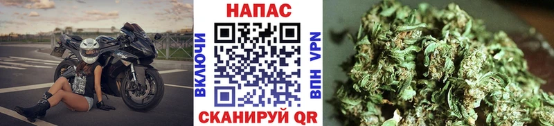 площадка формула Мамоново Шишки марихуана семена наркошоп